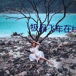 极(jí)品飞(fēi)车在线观看
