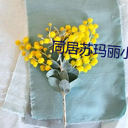 同居苏玛丽小说免费全文阅