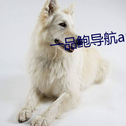 一品鲍导航app
