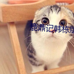 鹿鼎记韩栋(棟)版40集