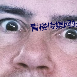 青楼(樓)传(傳)媒网站(站)