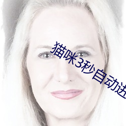 猫咪3秒自动进入