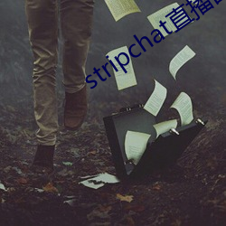 stripchat直播回放 螺丝）