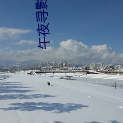 午夜(夜)寻影(影)
