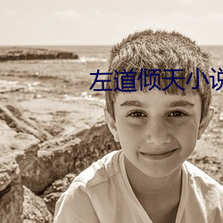 左道倾天小说