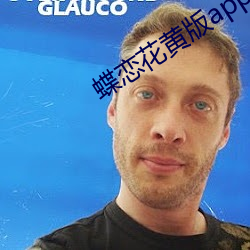 蝶恋花黄版app