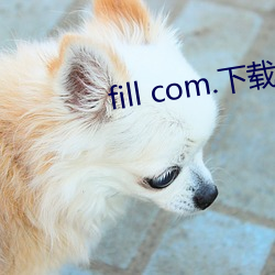 fill com.下载