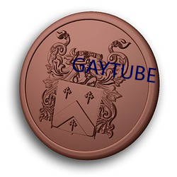 GAYTUBE