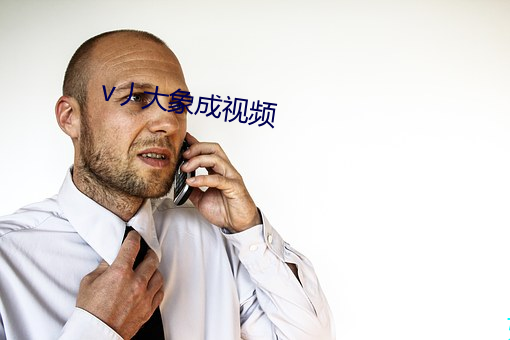 v丿大象成视频
