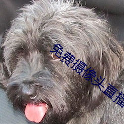 免费摄像头直播app