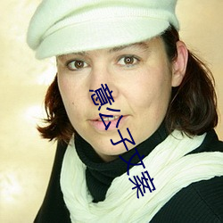 意公子(子)文案