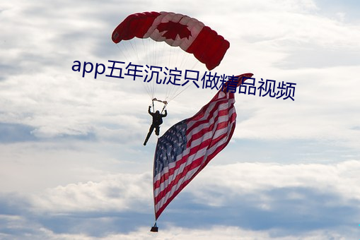 app五年沉淀只做精品视频 （股东会）