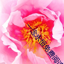 一(一)念永恒(恒)免费阅读全文