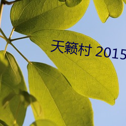 天籁村 2015推荐哪一期
