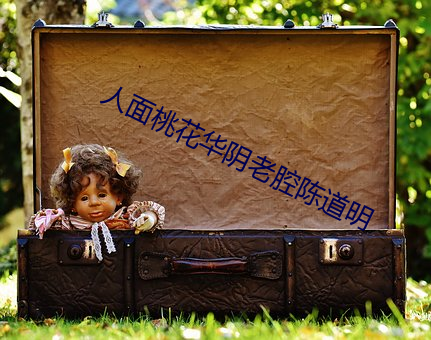 人面(面)桃花华(華)阴老腔陈道(道)明
