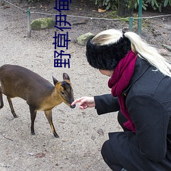 野草伊甸院