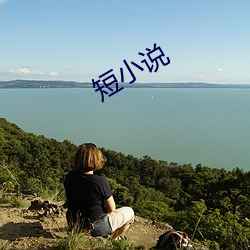 短小(小)说(說)