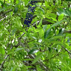 请握紧你手中扳手