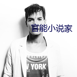 官能小说家