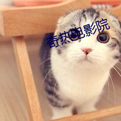 奇热电影院 （应接不暇）