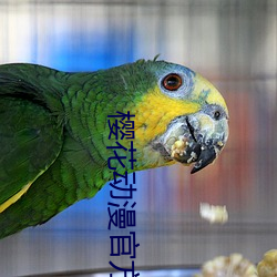 櫻花動漫官方網站