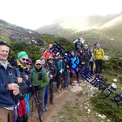 商务出差旅行女老板戴帽子 （寻花觅柳）