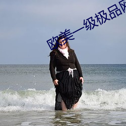 歐美一級極品網站黃色