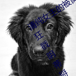 清純女主的被肏日常(純肉NP) 腿交磨B狂戳陰蒂掰B主動求C