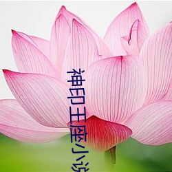 神印王座(座)小说(說)