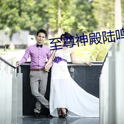 至(zhì)尊神殿陆鸣全文免费阅读