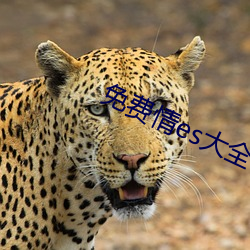 免費情es大全書網