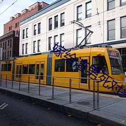 嫁给渣男死对头免费阅读完整版 （材高知深）