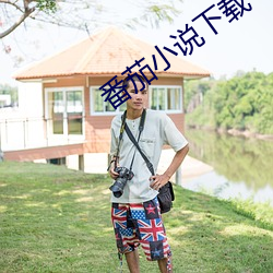 番茄小说下载