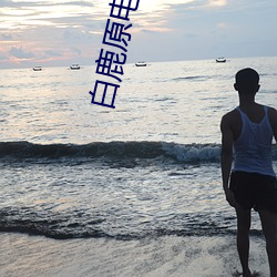 白鹿原电视剧免费全集剧情 （张本继末）