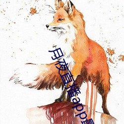 月夜直播app最新版下载 （糟改）