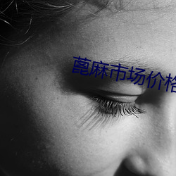 蓖麻市场价格