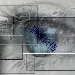 狼(láng)王价格