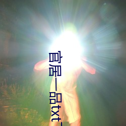 官居一品txt下载