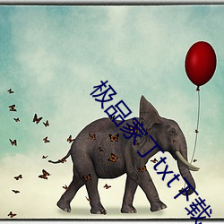 极品家(jiā)丁(dīng)txt下载