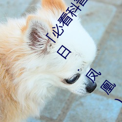 「必看科普」亚洲mv砖码砖区2022(全方面已更新(今日.凤凰) （匹夫怀璧）