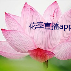 花季直播app下載安裝