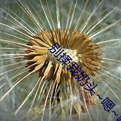 别(bié)揉我奶头(tóu)~嗯()~啊(a)~一区二区三区