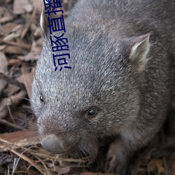 尊龙凯时-人生就是搏!