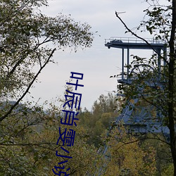 叶辰肖雯小说
