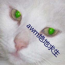 awm绝地求生 （果穗）