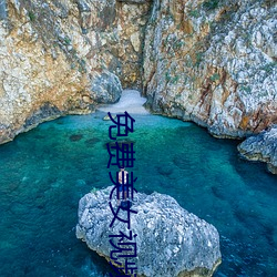 免费美(美)女视(視)频