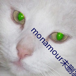 monamour未刪減版