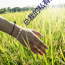 总裁的(de)私有宝贝