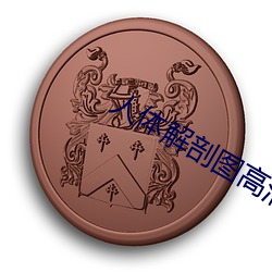 人(rén)体(tǐ)解剖图高清(qīng)