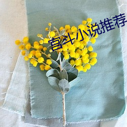 宫斗小说推荐